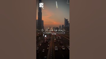 سورة آل عمران #سعد_الغامدي