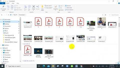 Web design and development( soft skill) batch 5 class 6