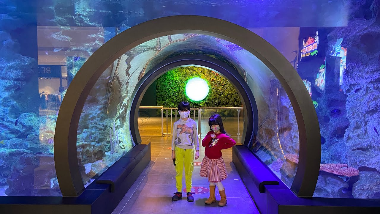 EMAR AKVARYUM✅PENGUENLER💕DEVASA TİMSAH VE 🤨YILAN 