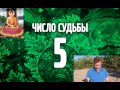 Число судьбы - 5. Число Кармы 5. Ведическая Нумерология