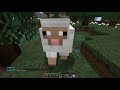 Minecraft Server |SpeedNetwork - Survival Ep 1