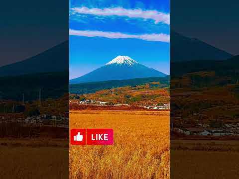 Mount Fuji - 富士山　秋、冬、ෆුජි ගිනි කන්ද #japan #travel #nature #beautiful #camping #autumn  #mountains