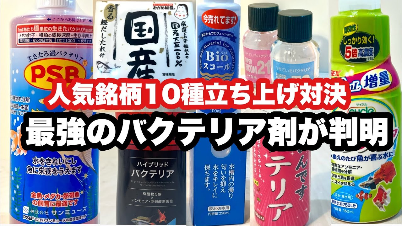 全部試したらチートすぎるバクテリア剤が判明しました【人気10銘柄同時立ち上げ検証:後編】