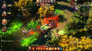 Divinity Original Sin - Phantom Forest - Source-Tainted Spider FIGHT - Level 18
