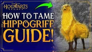 Hogwarts Legacy - How To Tame HIPPOGRIFF - How To Get / Catch Hippogriff - Hippogriff Location Guide