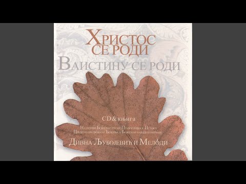 Divna Ljubojevic - Volsvi persidstviji / Волсви персидствији
