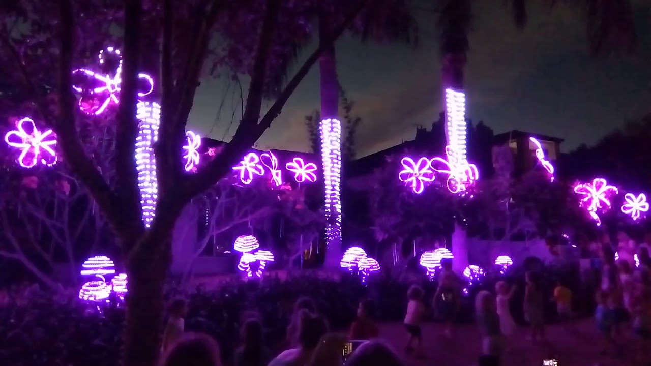 Forest Oak Drive Upper Coomera Christmas Lights 2017 4 YouTube