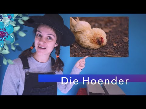 Video: Hou Hoenders In Die Land In Die Winter