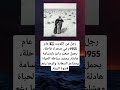 رجل من الكويت عام 1955م في صحراء قاحلة يحمل صغير ماعز بابتسامة هادئة يجس د بساطة الحياة رجل من الكويت عام 1955م في صحراء قاحلة يحمل صغير ماعز بابتسامة هادئة يجس د بساطة الحياة