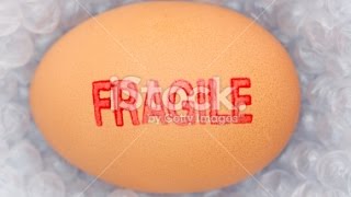 Save The Egg - Bubble Wrap Egg Drop Experiment