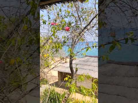 Our Room At Mango Drift Likoma