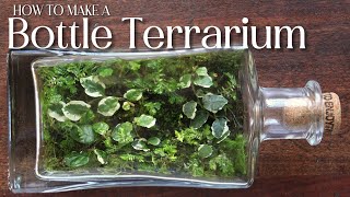 Recycled Bottle turned into a Terrarium by Forest Floor Terrariums 2,029 views 1 year ago 8 minutes, 20 seconds