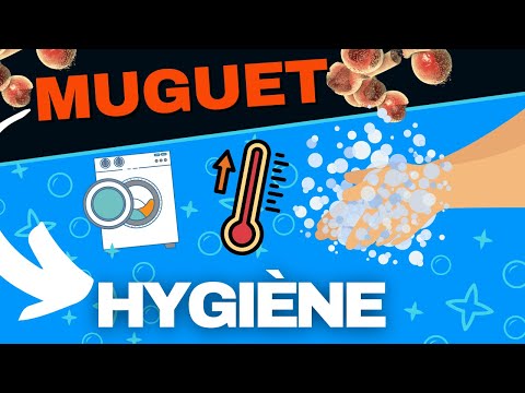 Candidose muguet et mesures d’hygiène pour (enfin) guérir !