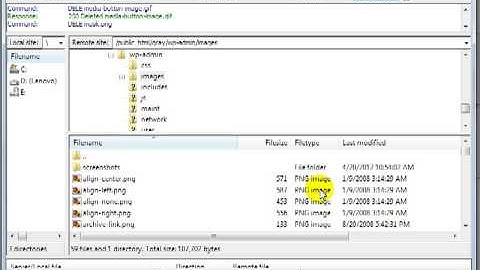 How to Delete WordPress Manually