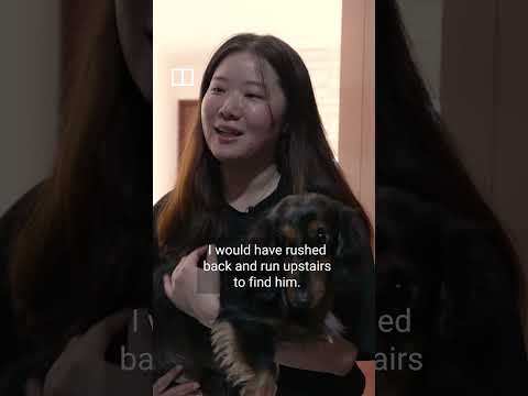 Dozens of pets still missing after deadly Tai Po blaze