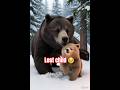 Lost Baby Bear in the Snow ❄️🐻 | Emotional Mother Reunion