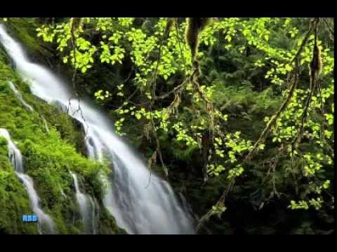 Brenda Lee - Too Many Rivers