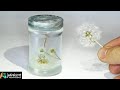 Dandelion in Jar / DIY / RESIN ART