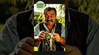 Ölü Dali Bi̇le Canlandiran Su - Bedava Kök Hormonu Ğaç Im