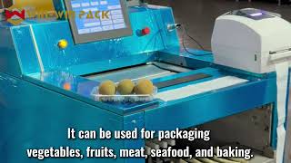 WIN WIN PACK Floor Type Food Wrapping Machine | 15 Packs/Min for Vegetables, Meat & Seafood