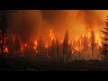 How to Prepare for a Disaster