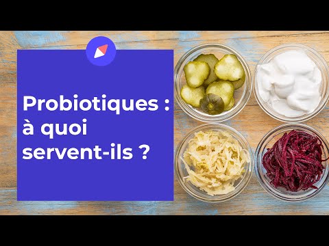 Vidéo: Probiotiques