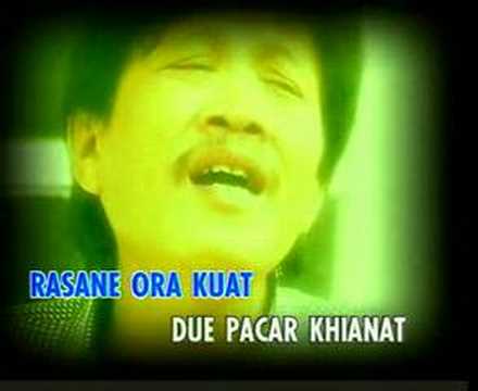 yoyo sekulit bawang