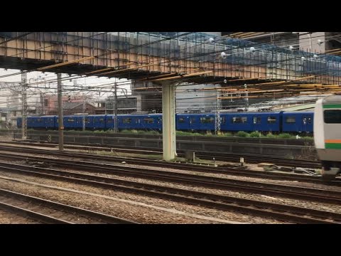 横須賀線e217系vs京急線600形ブルースカイトレイン　並走
