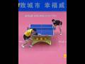 (搬运)2020年威海全锦赛男单决赛‖马龙vs樊振东 #乒乓球 #马龙 #樊振东