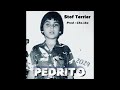 Stof terrier  pedrito prod chesko