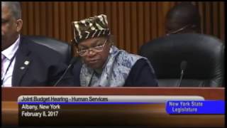 Senator Montgomery questions OTDA Executive Deputy Commissioner Michael Perrin