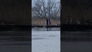 Весенние Уловы на Москва Реке! #рыбалка #fishing