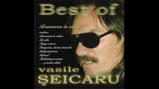 Video thumbnail of "Vasile Şeicaru - Tango retoric"