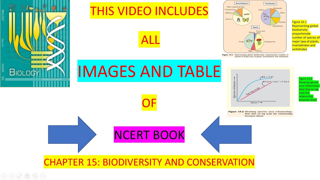 class 12 biology chapter 15 | BIODIVERSITY AND CONSERVATION | NCERT ALL IMAGE | QUICK REVISION| NEET