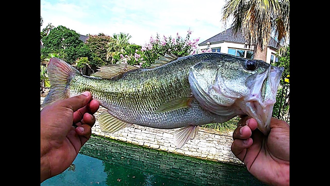 Average Water Bill San Antonio Apartment