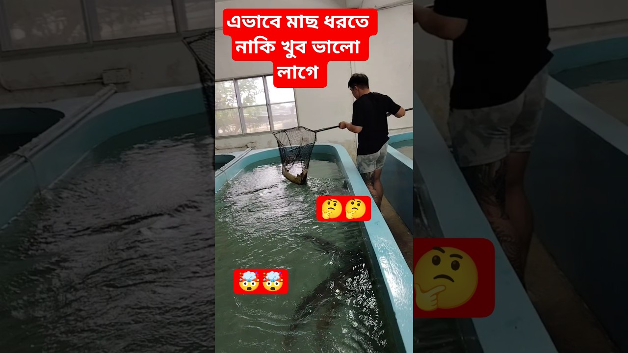 ওর নাকি এভাবে মাছ ধরতে খুবই ভালো লাগে, #fishing #fish #streetfood #food #caviar