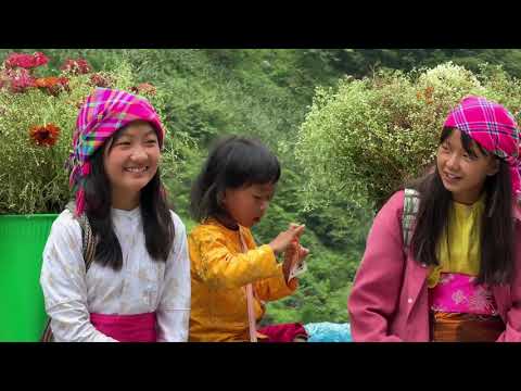 Nụ cười cô gái xinh xắn tại dốc thảm mã
