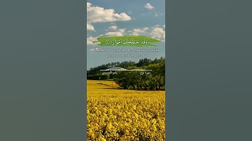 سورة نوح الآية ١٣ - ١٥ القارئ ياسر الدوسري