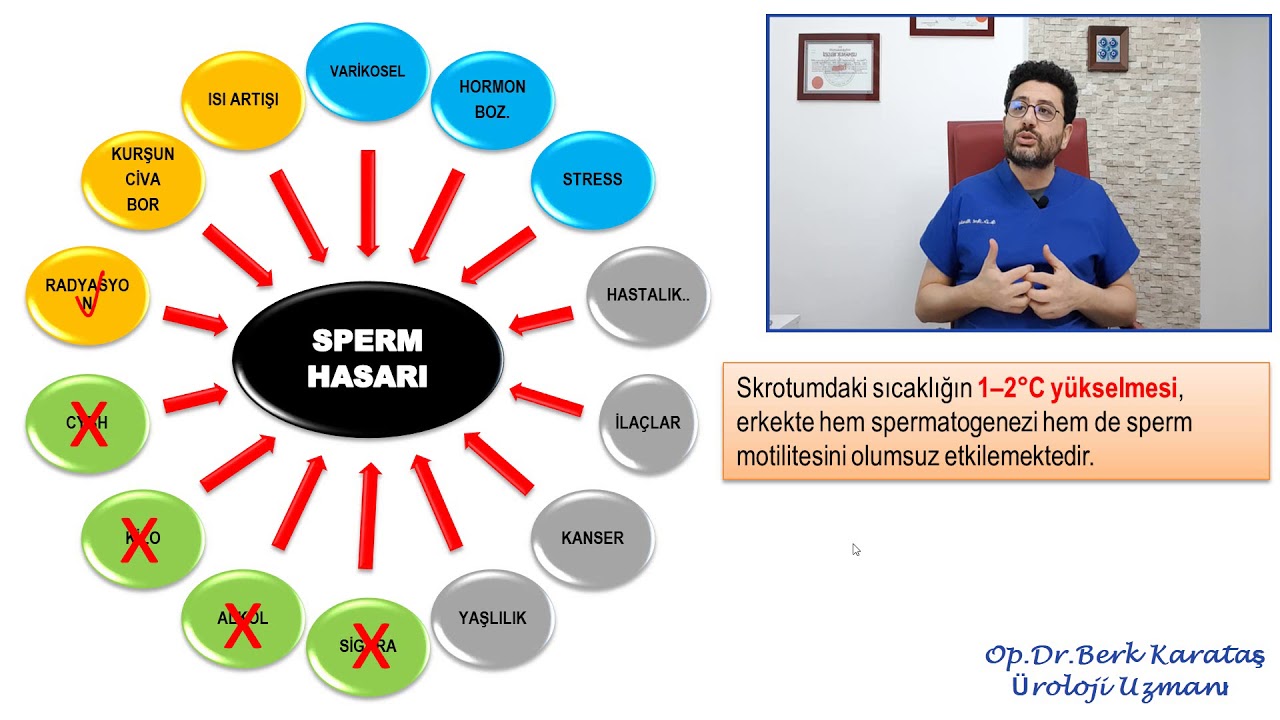 Kocasinda Sperm Sayti Az Olupda Gebe Kalanlar