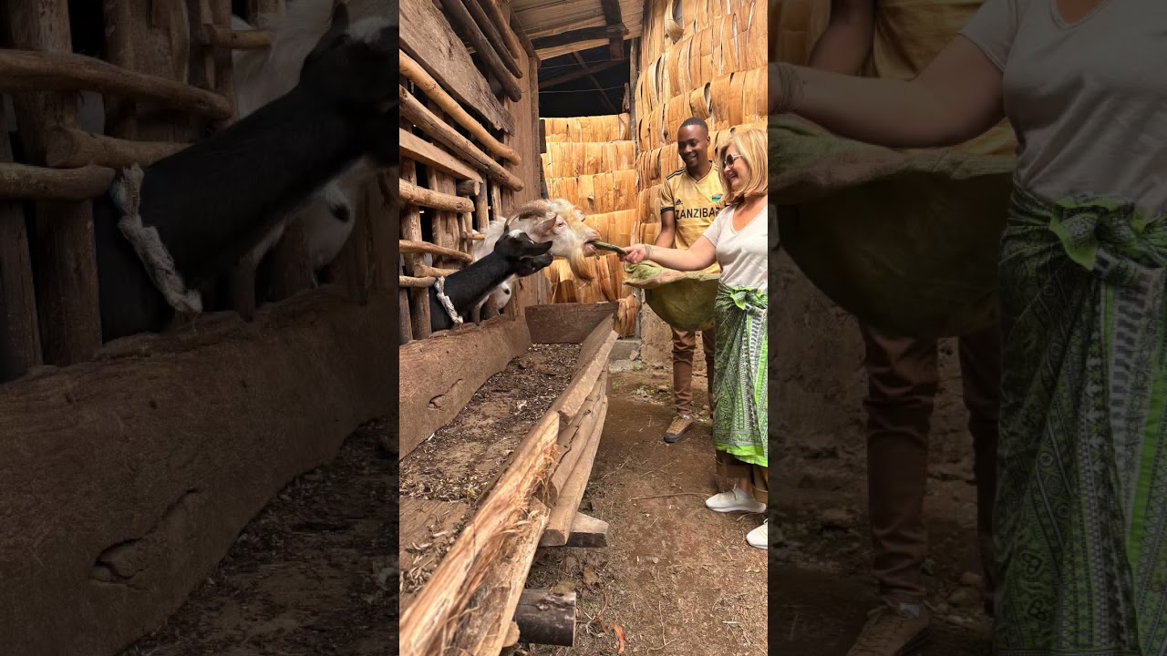 visit Machame for culture experience