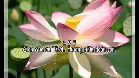 Công Cha Nghĩa Mẹ - demo - http://songvui.org