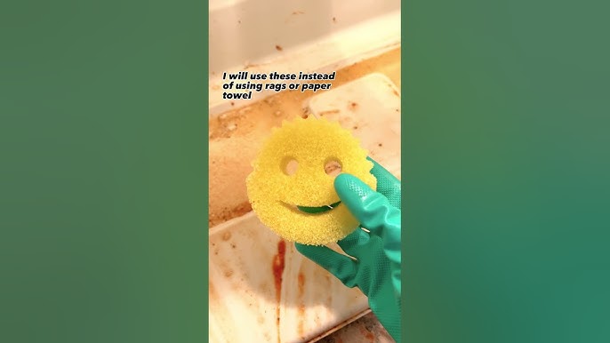 20 Jobs You Didn't Know Scrub Daddy Could Do - Scrub Daddy PL