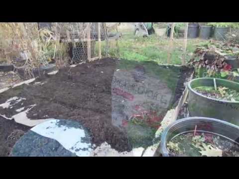 Organically Preparing a Fall Garden Bed for Spring: Newspaper Weed-Block! - TRG 2016