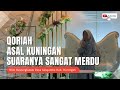 TILAWAH AL-QUR&#39;AN | QORIAH ASAL KUNINGAN JAWA BARAT