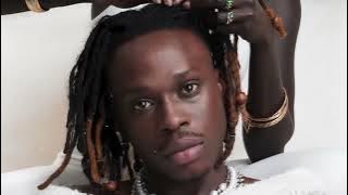 Fireboy   Compromise {Official Music Video} {feat  Rema}