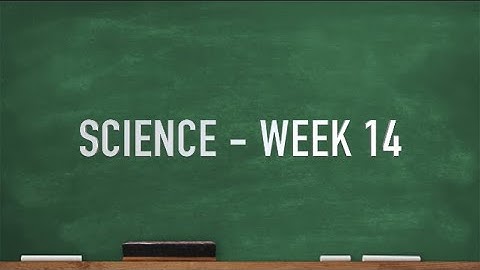 CC Cycle 2 Week 14 Science