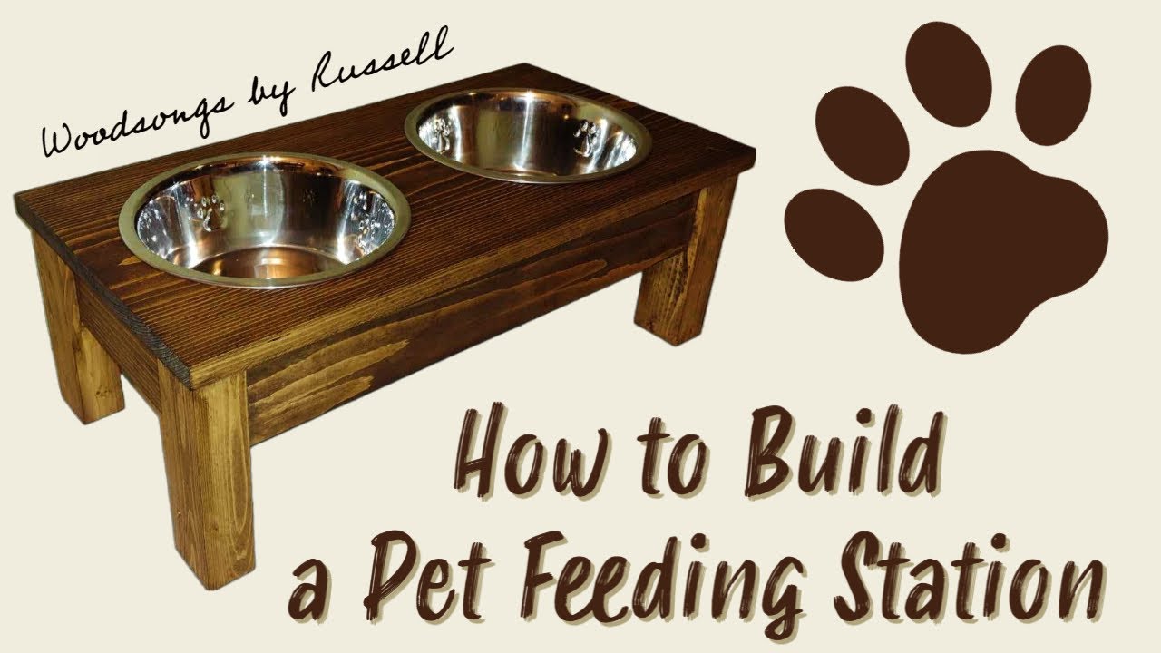 DIY Pet Feeding Station How to Build a Feeding Station for Dogs
