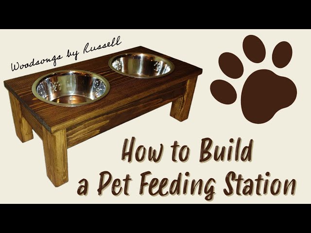 How to Create a Dog Feeding Station –