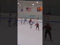 Nice Save Off Tip and Rebound Swipe Of Goal Line