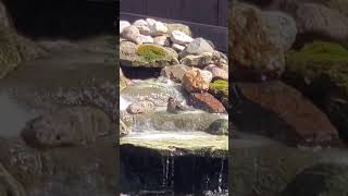 Bird Having a Bath in Our Pond's Waterfalls April 19th, 2024 by Christine Newland 23 views 3 weeks ago 3 minutes, 23 seconds
